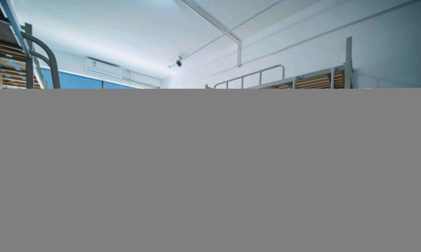 佛山市禅城区晓熊森林文化艺术培训学校有限公司