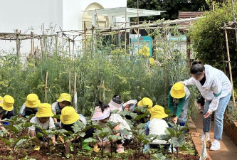 莱城区茶业口乡茶业口村幼儿园