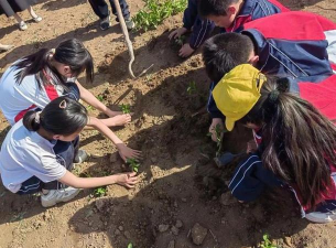 临沭县石门镇中心小学