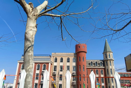 青岛市城阳区惜福镇后金村幼儿园