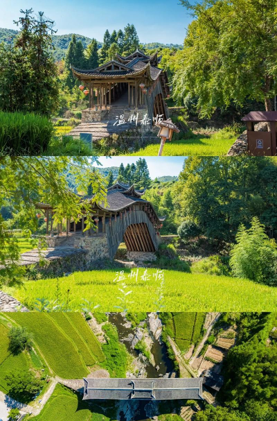 泰顺县筱村镇小