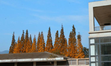 成都市都江堰外国语实验学校