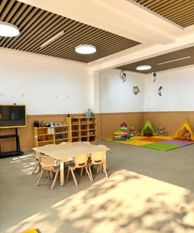 深圳市龙华区幸福童星幼儿园