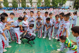 新兴县太平镇凤山小学