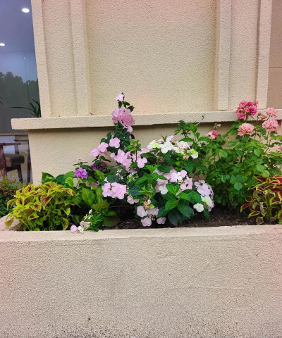 遂川壹加壹培训中心有限公司