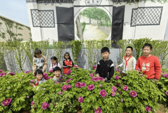 栖霞市亭口小学