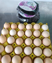 西畴县柏林乡幼儿园