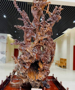 大洞镇龙潭教学点