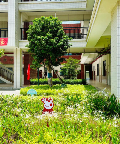 佛山市三水区西南镇高丰小学