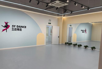 新乡县唯舞舞蹈培训有限公司