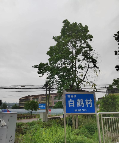 广安区观塘镇小学校