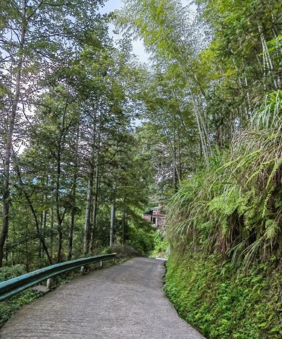 盘江教育处老屋基矿学校