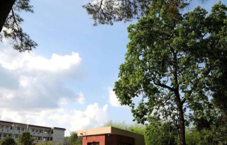 武平县桃溪中学