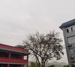 重庆市沙坪坝区方堰塘小学校
