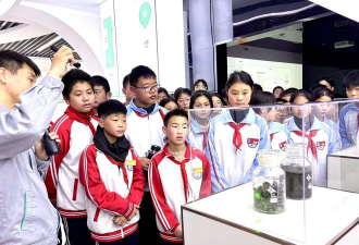 青岛市城阳第十三中学