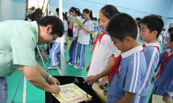 深圳市福田区上沙小学