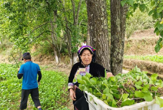 九龙县小金乡中心校