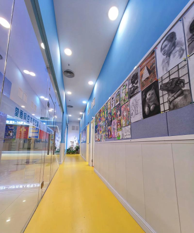 佛山市顺德区陈村镇百星迪艺术培训有限公司