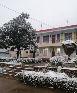 阆中市盘马乡仰家坪村小学