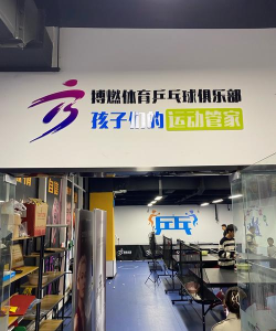 巍山县乒搏体育培训有限责任公司