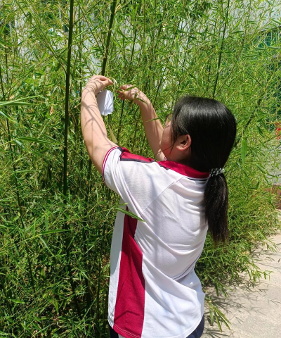 博兴县博兴镇董王中学