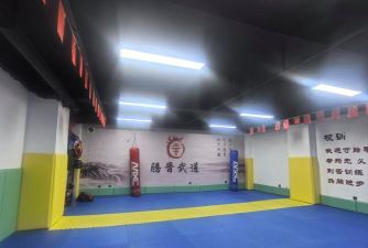 民乐县振威武术培训有限公司