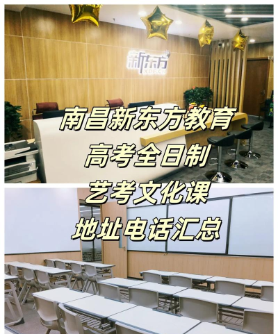 南昌市东湖区新东方艺术培训中心有限公司高新七路分公司