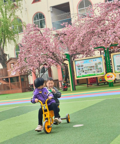 招远市玲珑镇芮里幼儿园