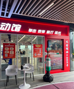 大连市普兰店区威震搏击培训学校有限公司