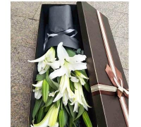 河南省信阳市平桥区肖王乡初级中学