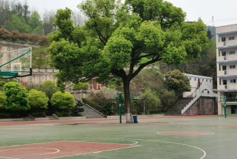 铜仁市大坪乡春风中学