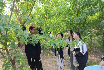 息县包信镇初级中学