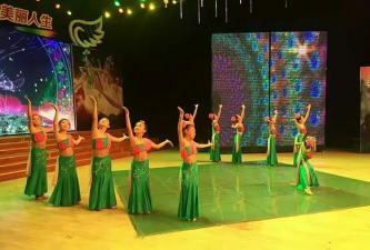 聊城江北水城旅游度假区瑞芭舞蹈培训学校有限公司