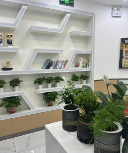 大连市高新区佳博文化艺术培训学校有限公司