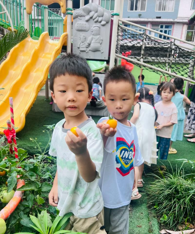 东莞市麻涌育禾幼儿园有限公司