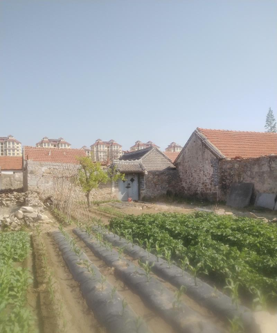 乳山市白沙滩镇大陶家区小