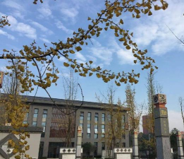 四川成都新都二中