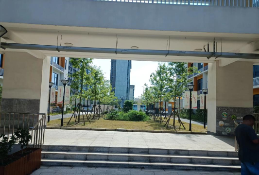 长宁区凇虹路小学