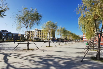 泰来县和平镇中心学校宏丰分校