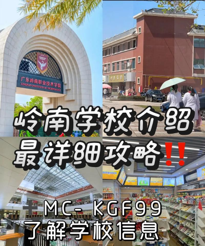 东莞市岭南学校