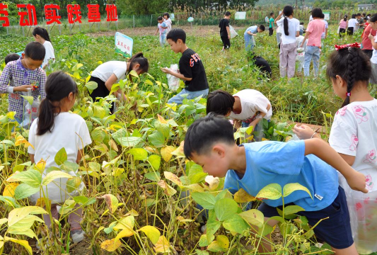 洞口县高沙镇南泥初级中学