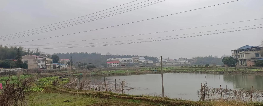 昌邑区东华小学