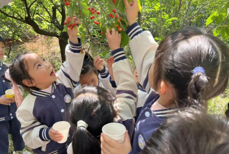 登封市卢店镇幼儿园