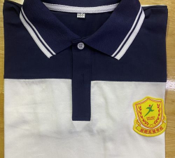 东莞市常平新朗实验学校