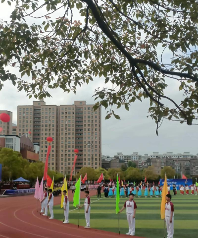 湖北省崇阳县石城镇实验中学