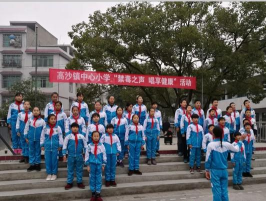 洞口县高沙镇中心小学