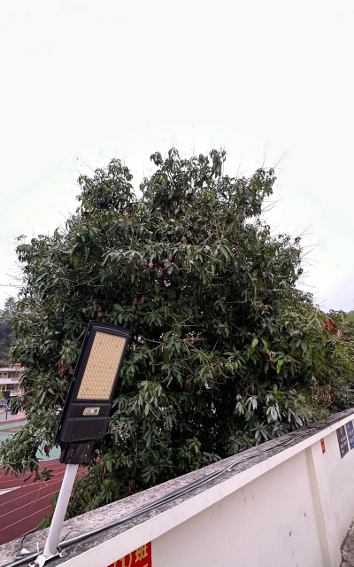 清远市清新区三坑镇雅文小学湴塘教学点