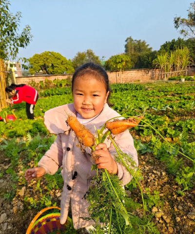 大丰大中农场幼儿园
