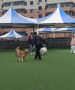 大庆市萨尔图区机关第二幼儿园