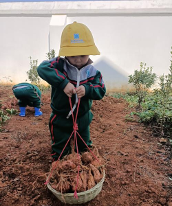 东风朝柴劳服幼儿园